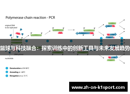 篮球与科技融合：探索训练中的创新工具与未来发展趋势
