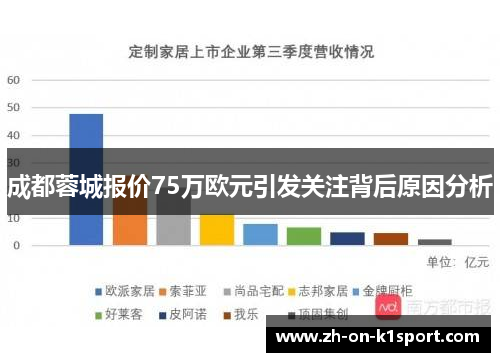 成都蓉城报价75万欧元引发关注背后原因分析
