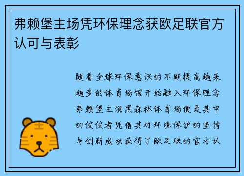 弗赖堡主场凭环保理念获欧足联官方认可与表彰